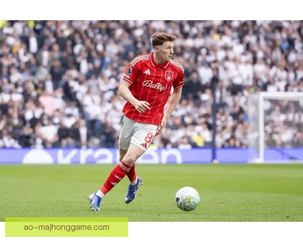 电讯报盘点曼联中场引援目标楚阿安德森与M费等十二人名单